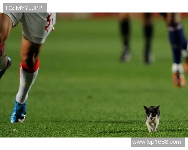 动物世界中的足球明星们如何在绿茵场上展现独特魅力与惊人技巧